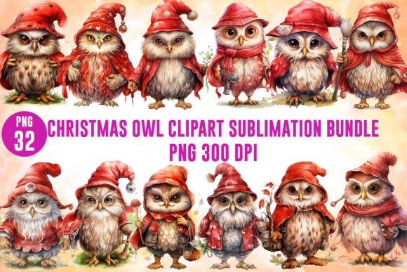 Christmas Owl Clipart Sublimation: Illustrations Review